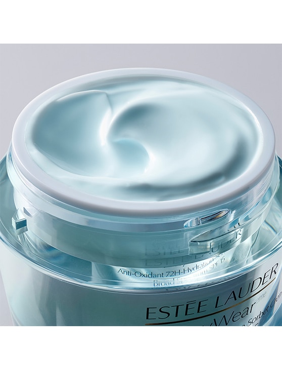 crema hidratante antioxidante daywear sorbet con fps 15 72 horas